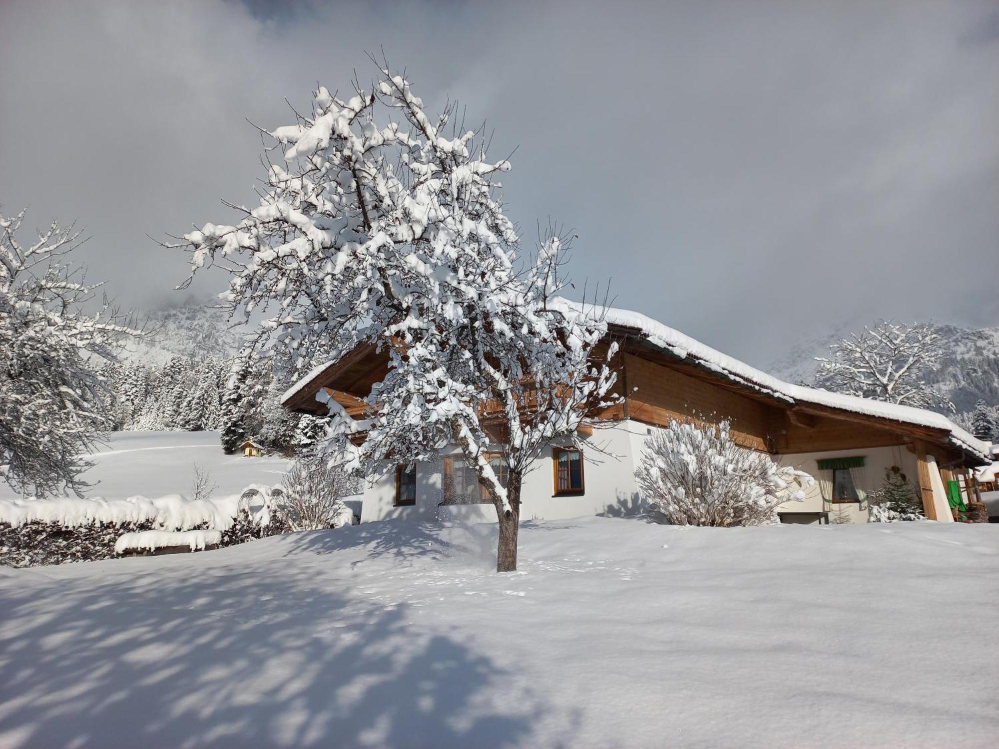 Chalet Gluecklich Sein... Ellmau Exteriér fotografie